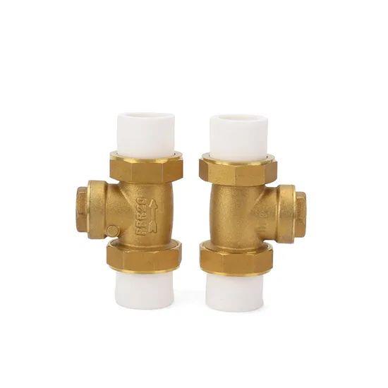 Ifan-Hot-Selling-20-32mm-Pn25-Double-Color-Horizontal-PPR-Check-Valve