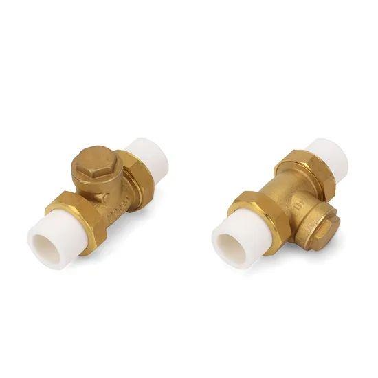 Ifan-Hot-Sales-20-32mm-Pn25-Double-Color-Horizontal-PPR-Check-Valve