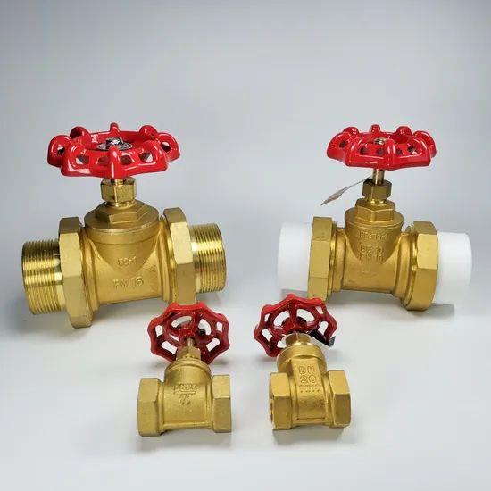 High-Quality-Brass-Fittings-for-Professional-Standards