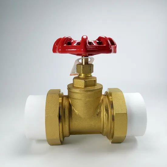 Versatile-Brass-Fittings-Tailored-to-Your-Needs