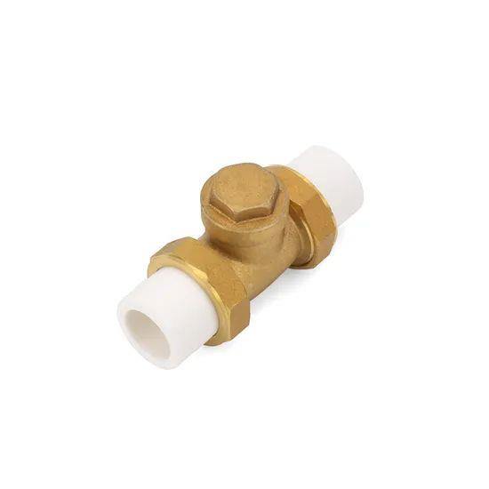 Ifan-High-Standard-ISO-15874-Check-Valve-20-32mm-PPR-Horizontal-Check-Valve