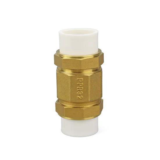 Ifan-Customization-20mm-25mm-32mm-Vertical-Brass-PPR-Check-Valve